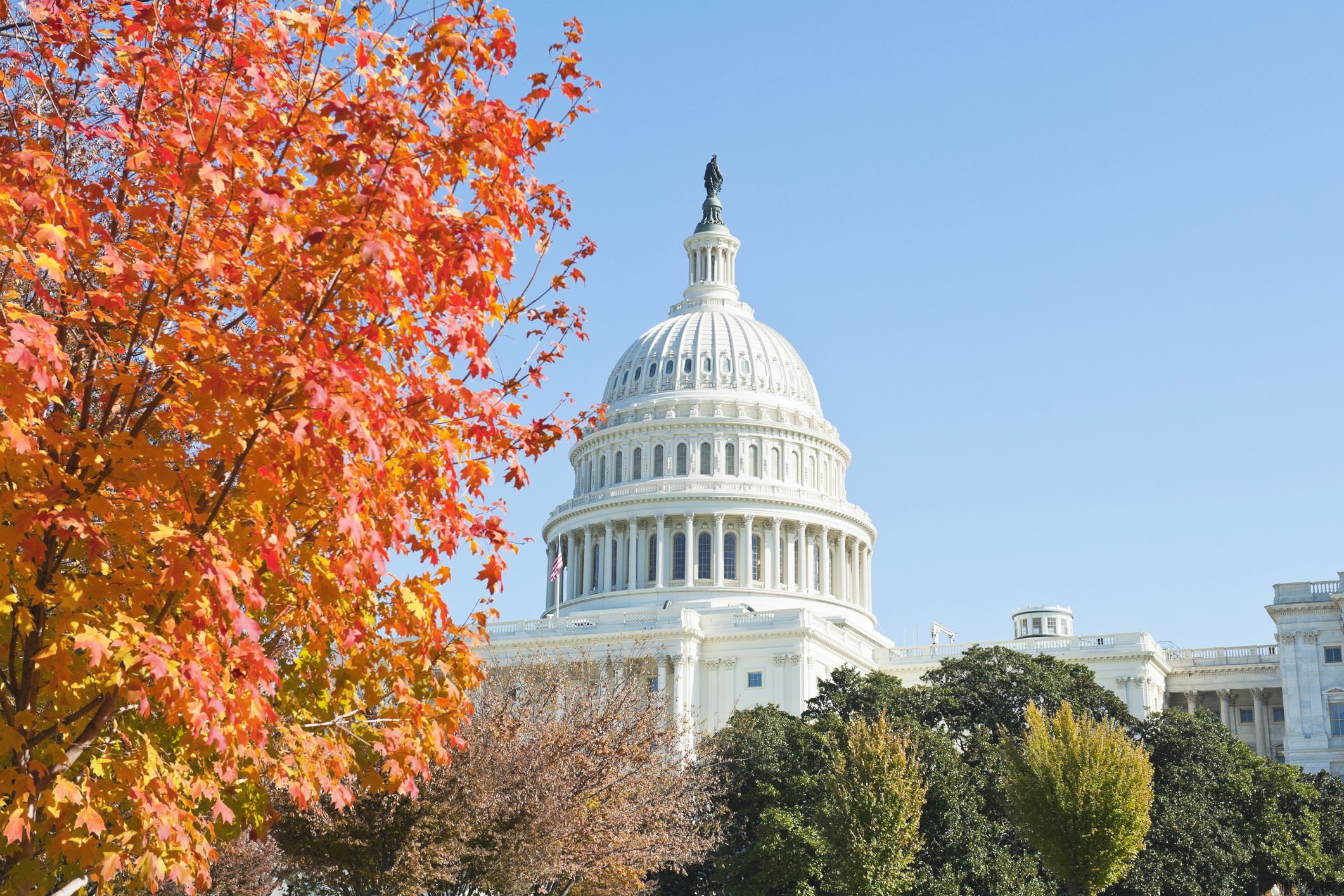 capitol building and fall foliage