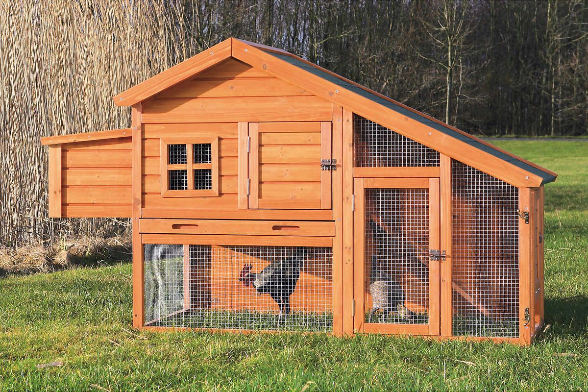 Trixie Chicken or Rabbit Coop with a View