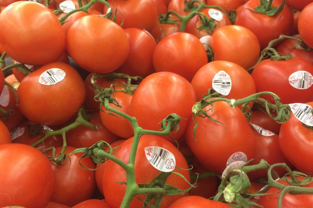 tomatoes on the vine at Kroger