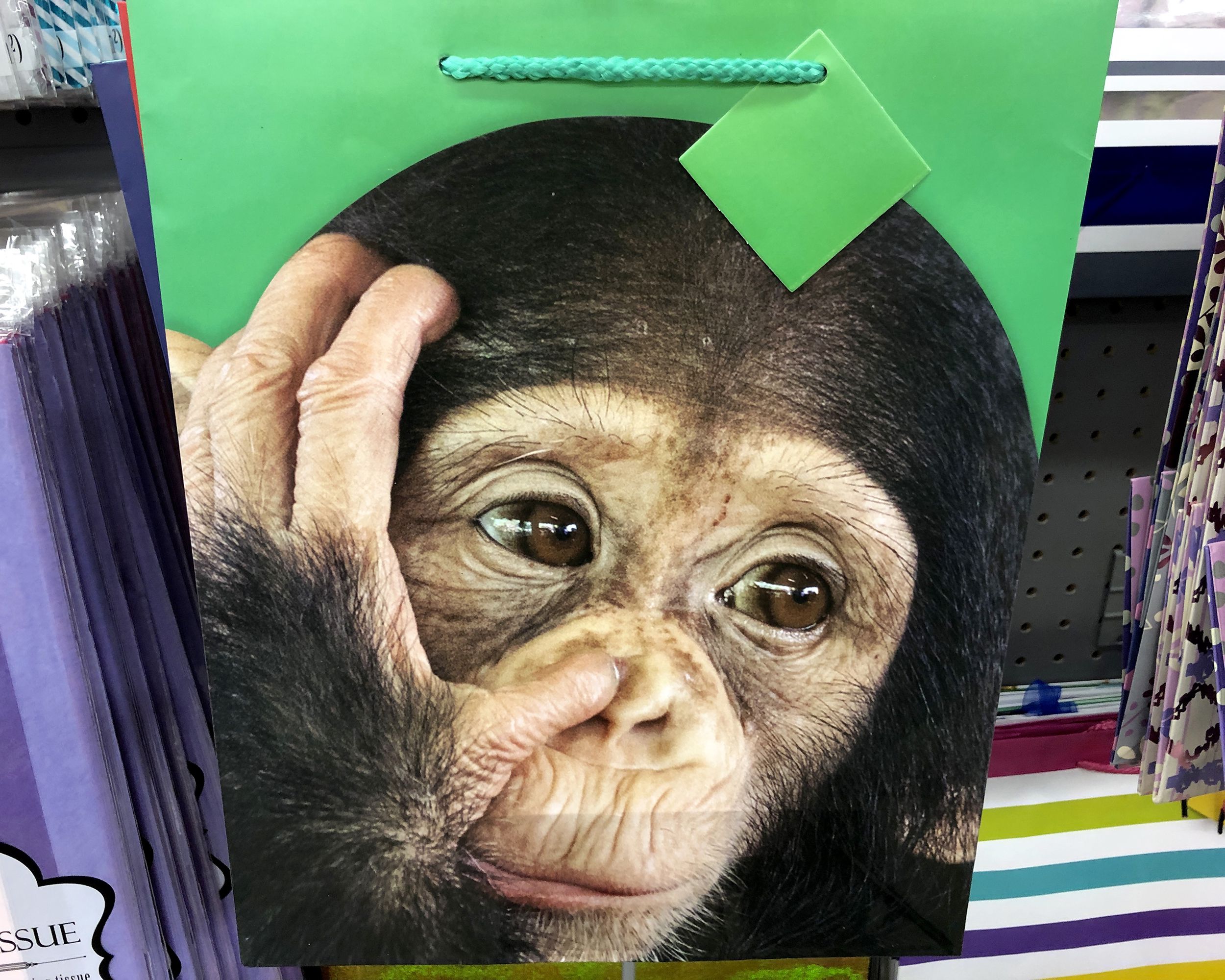 Chimpanzee Gift Bag