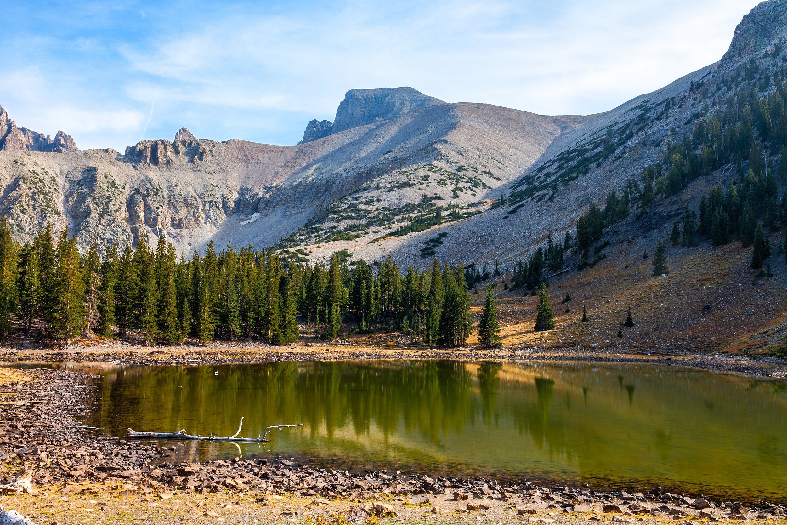 Alpine Loop trail in the Great Basin National Park