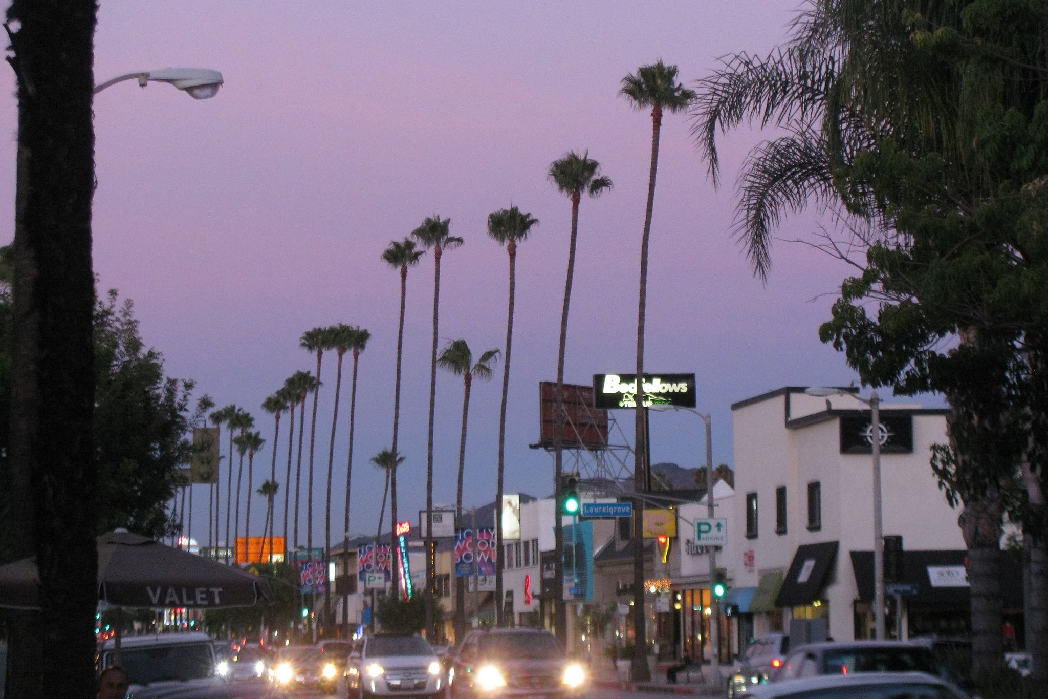 ventura boulevard at sunset, cars and palm trees in background