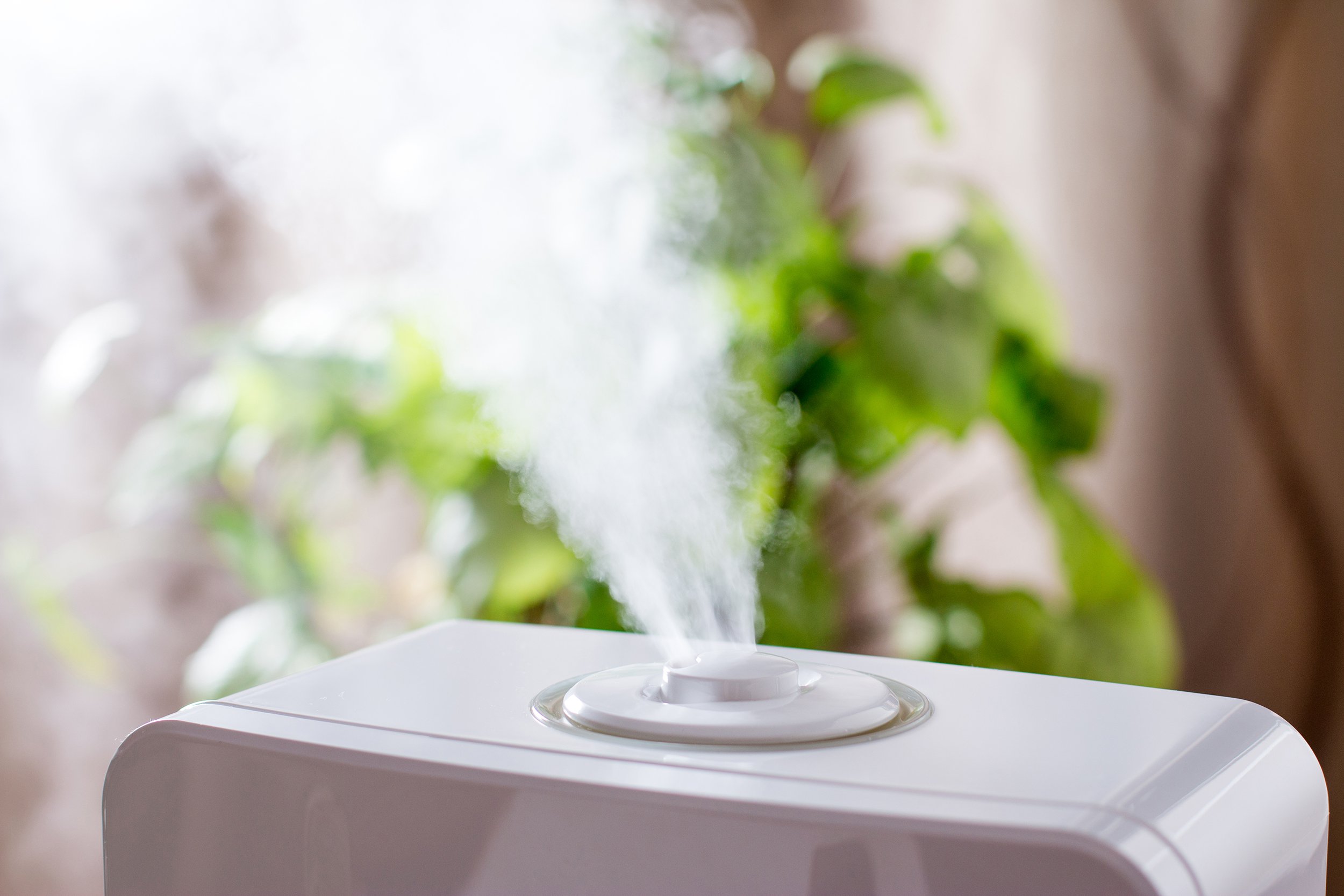 humidifier in the house