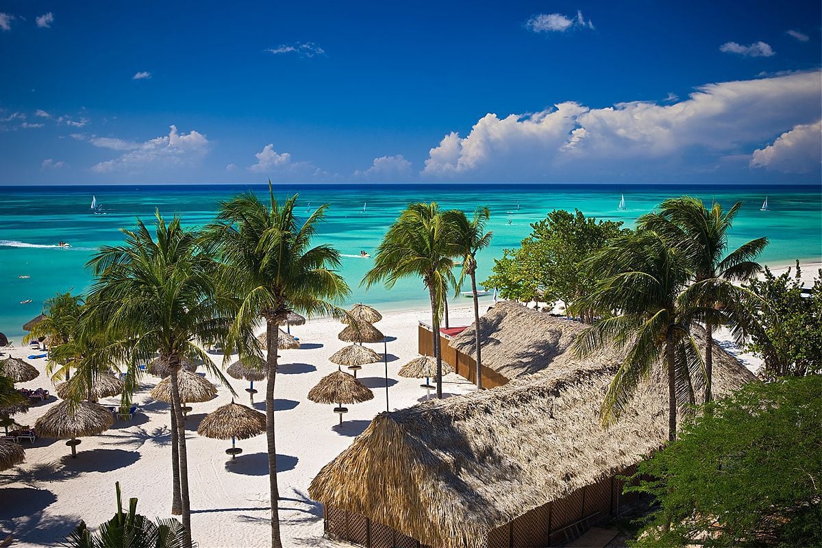beach with palm trees, palm hut