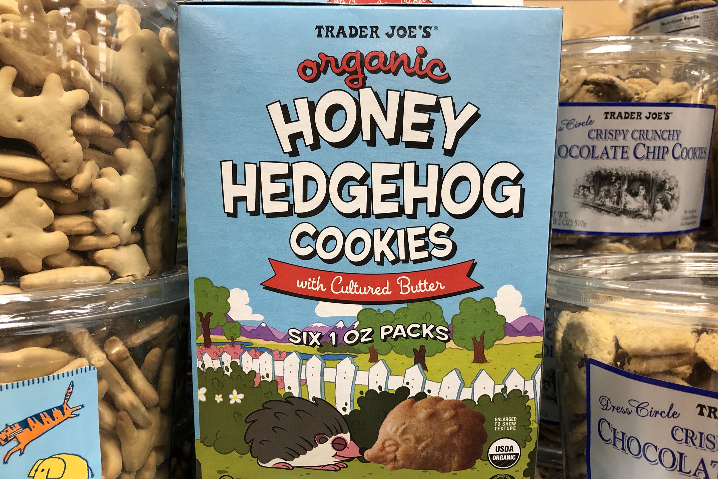 Hedgehog Cookies