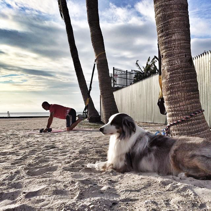 Talking Dog Media employee with his dog on the beach