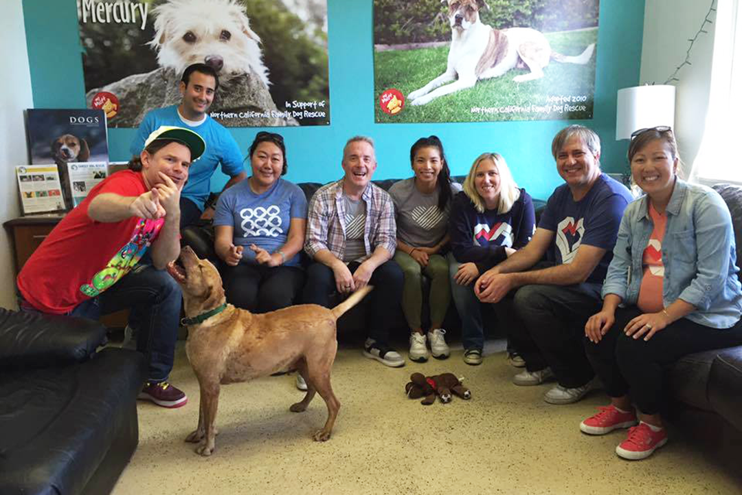 Employees at Zygna sitting on a couch with a dog