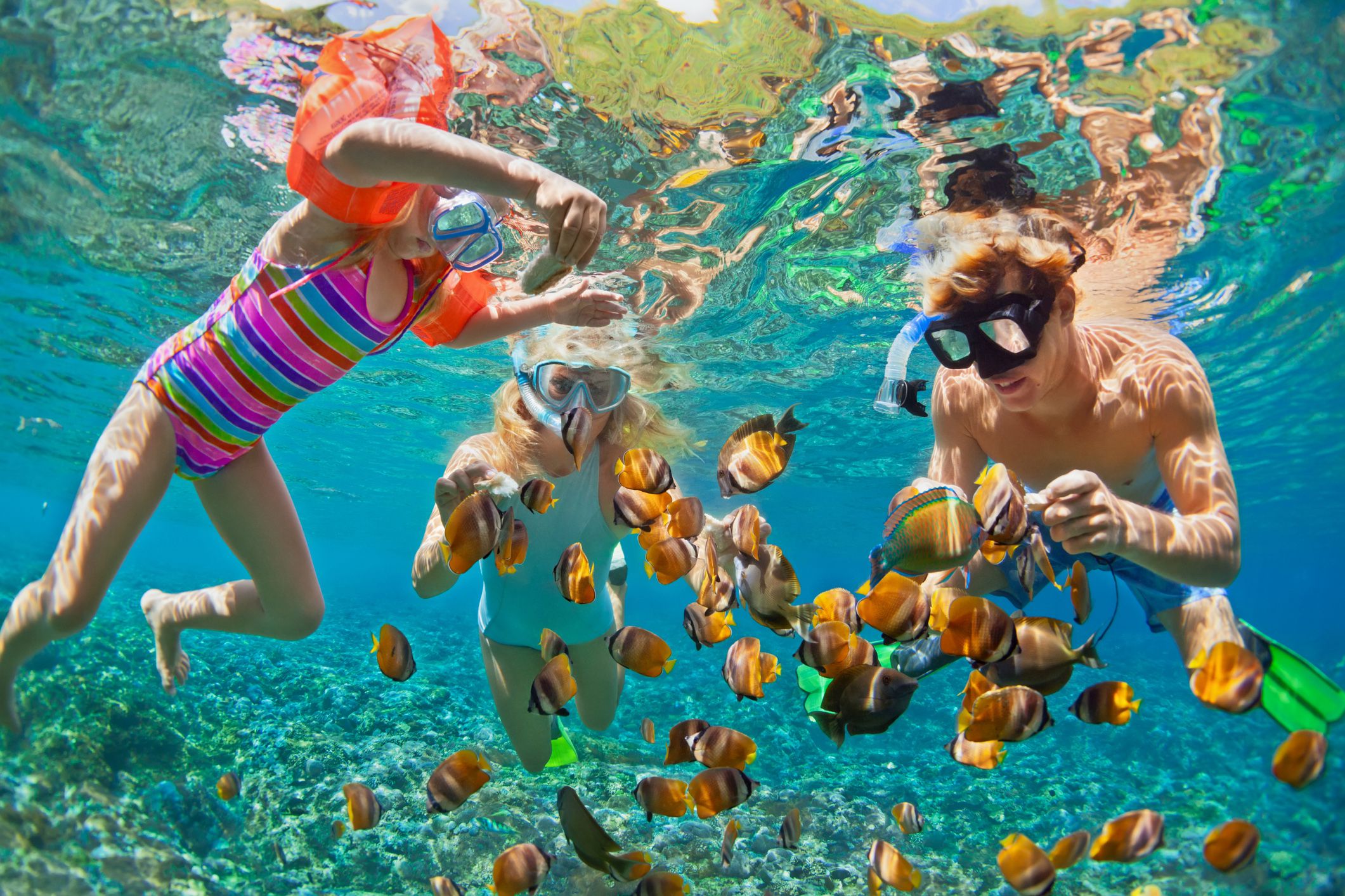 family snorkelling looking at fish