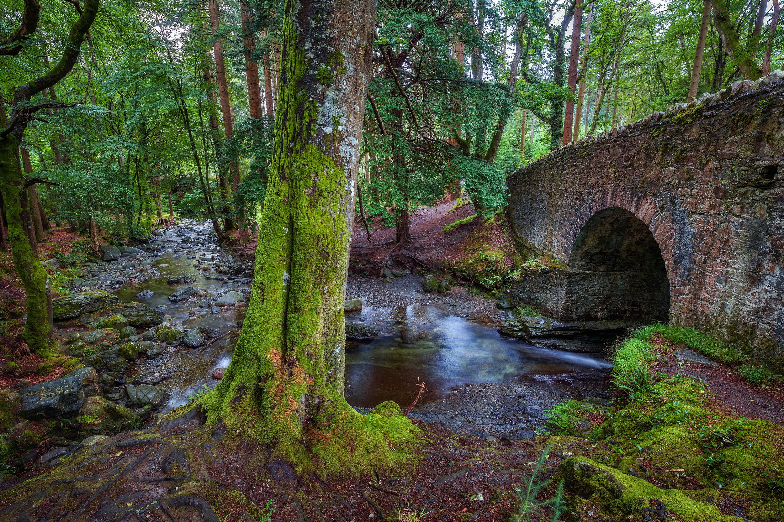 Tollymore Forest Park, Northern Ireland