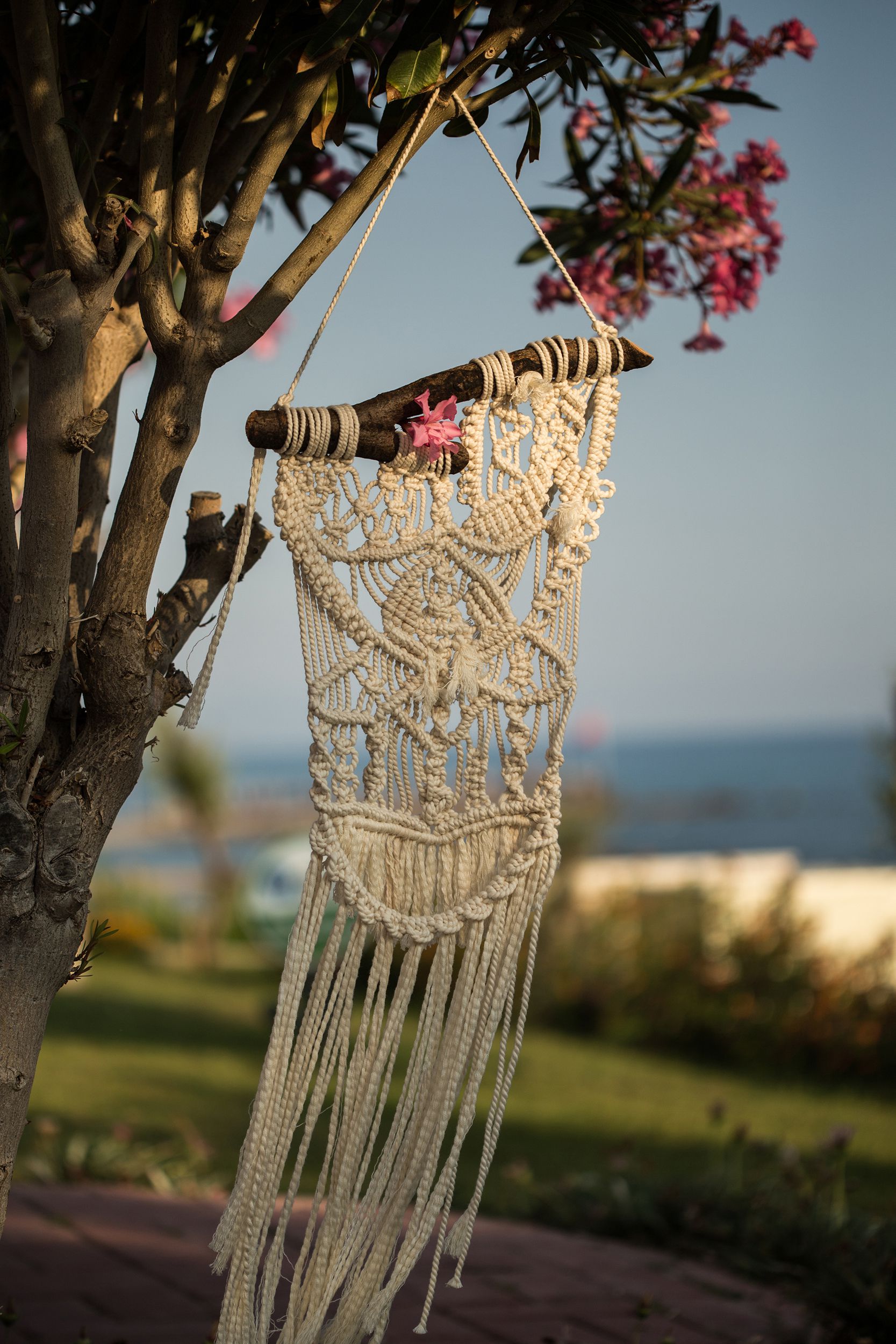 Makrame hanging from oleander tree
