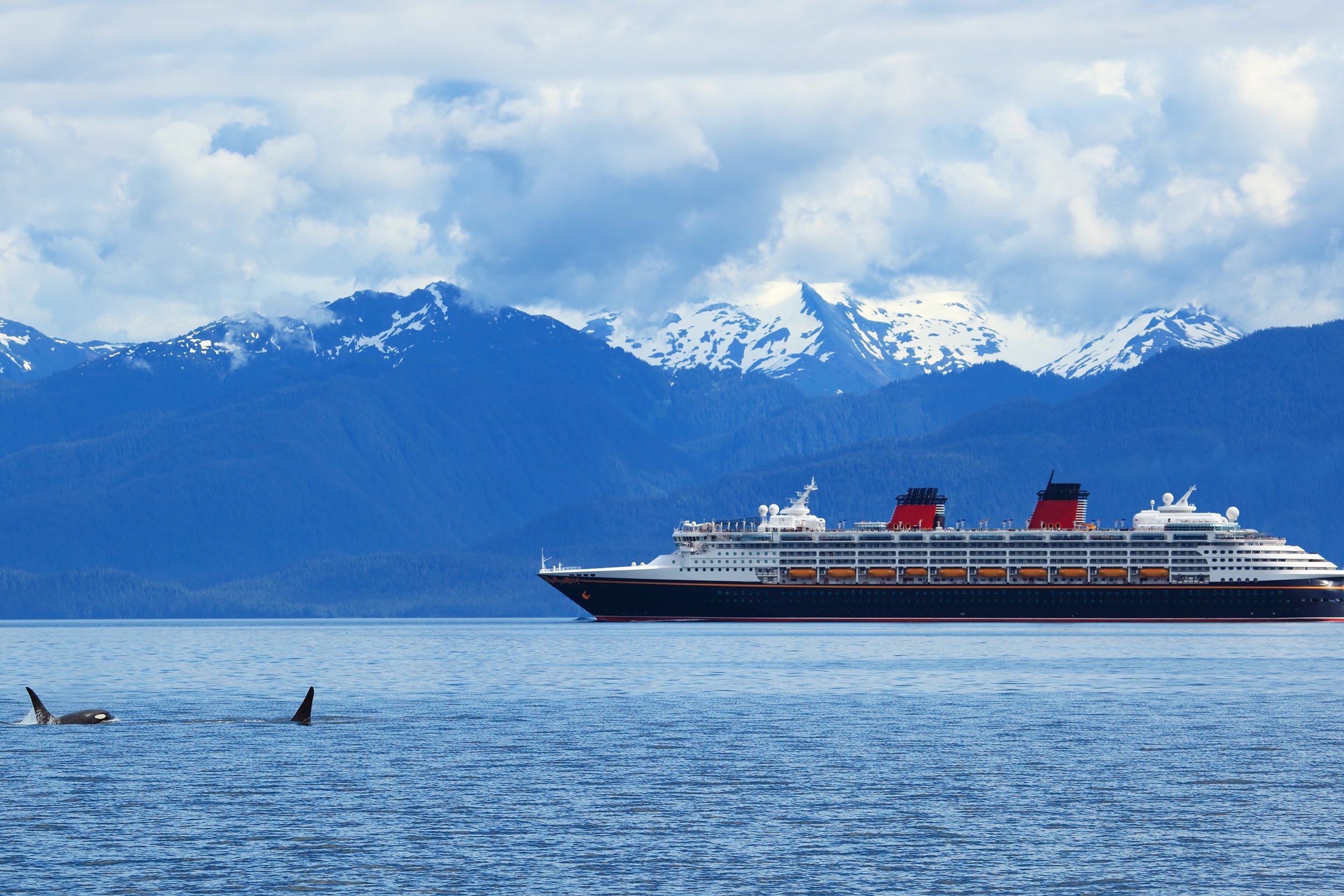two Orca whales and cruise liner are shown on snow mountains background