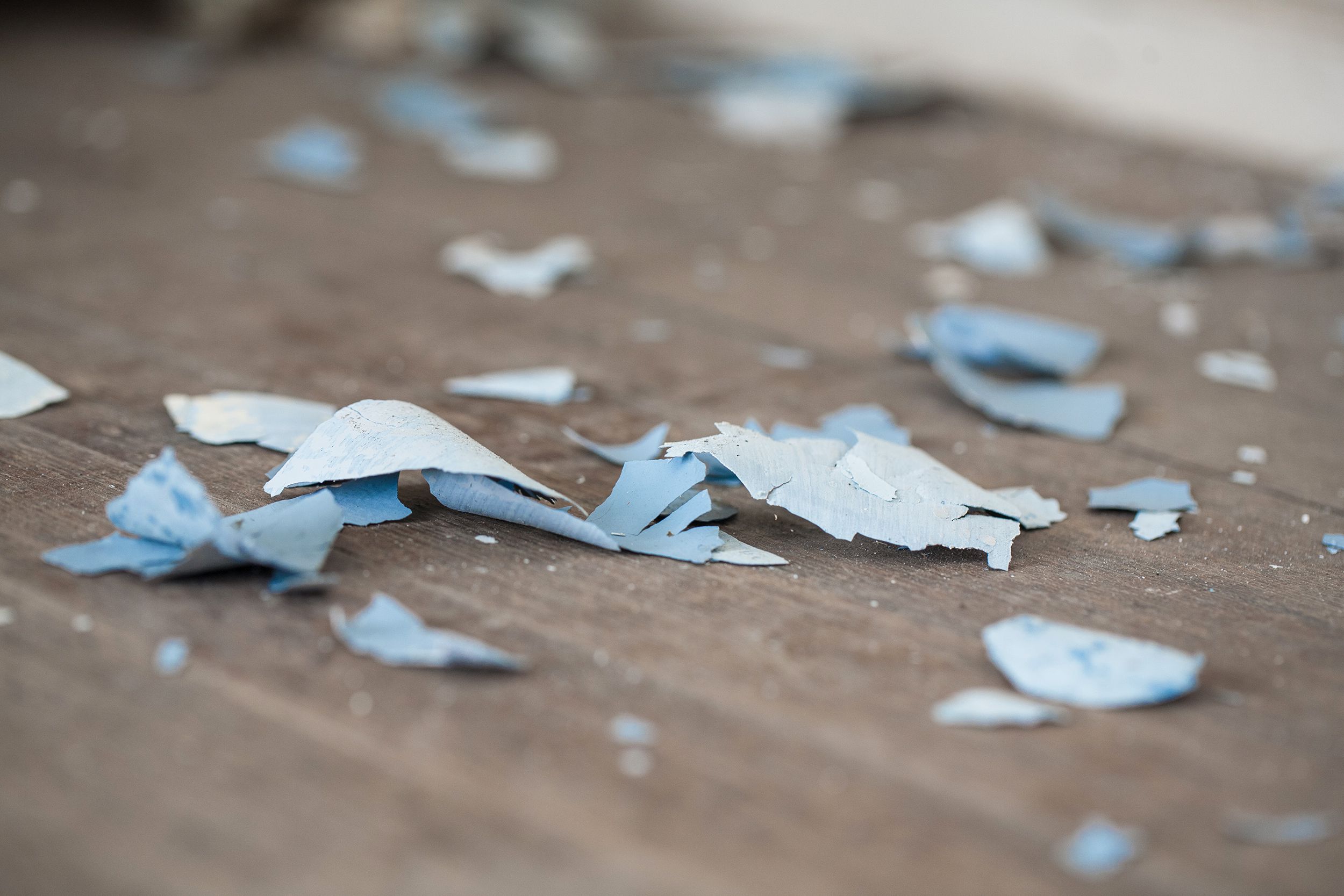 paint chips on old hardwood floor