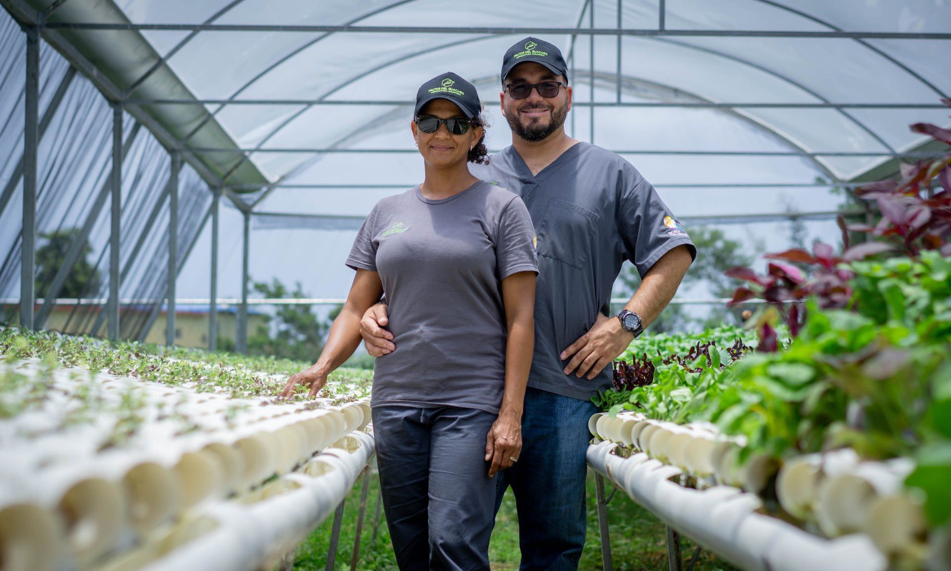 vegetables grown using hydroponics at Frutos del Guacabo