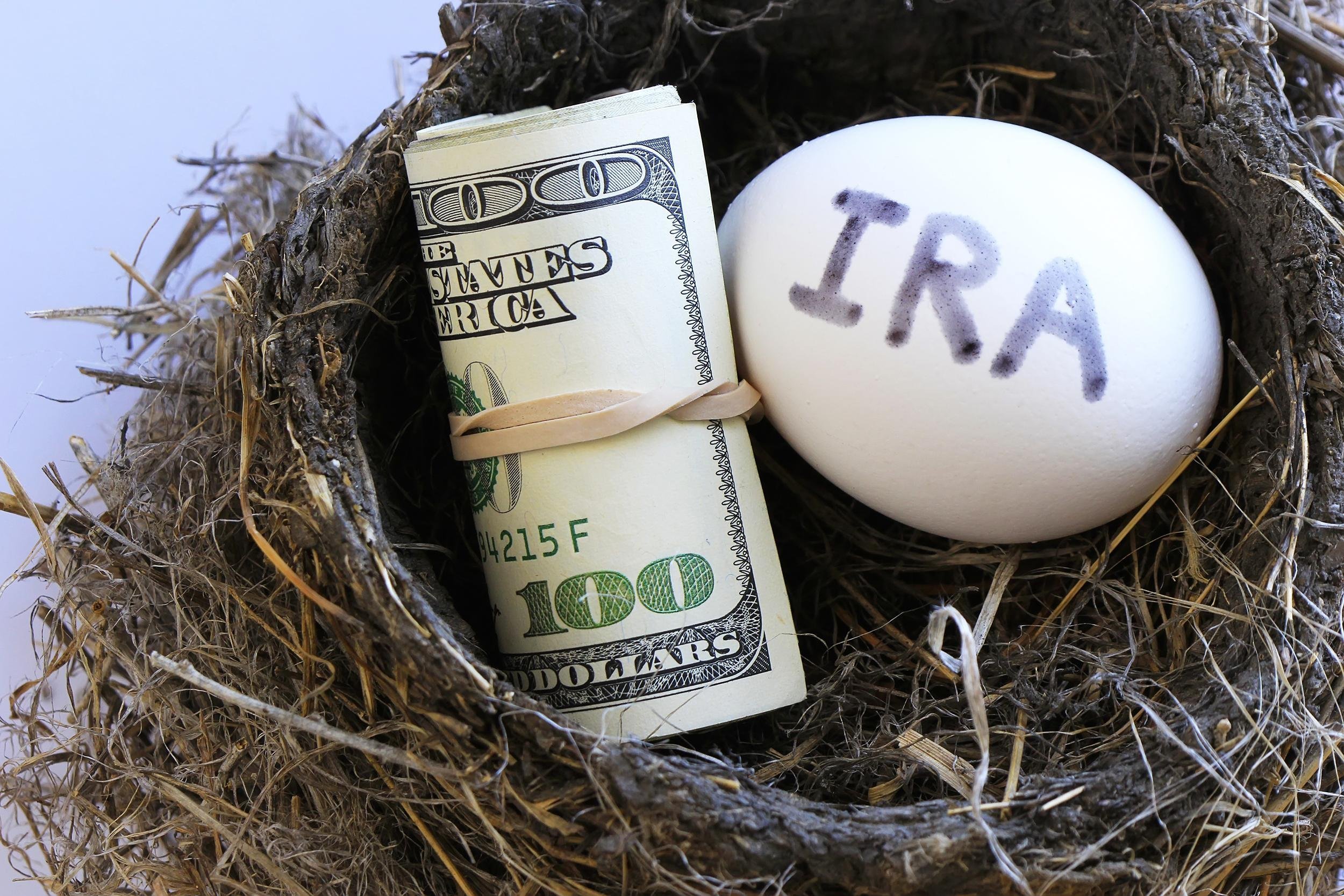 nest with $100 and IRA egg