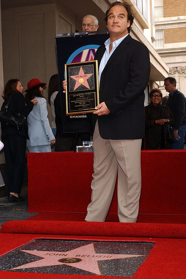 actor jim belushi attends the ceremony posthumously honoring his brother, actor/comedian john belushi, with a star on the hollywood walk of fame