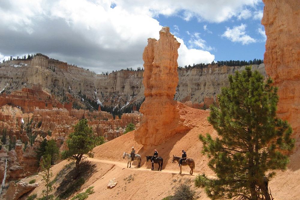Grand Canyon Mule Rides