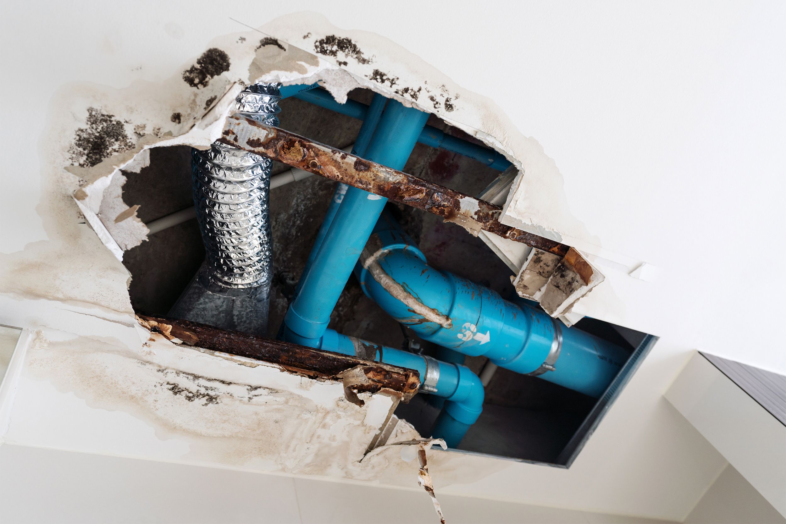 Exposed pipes in the ceiling