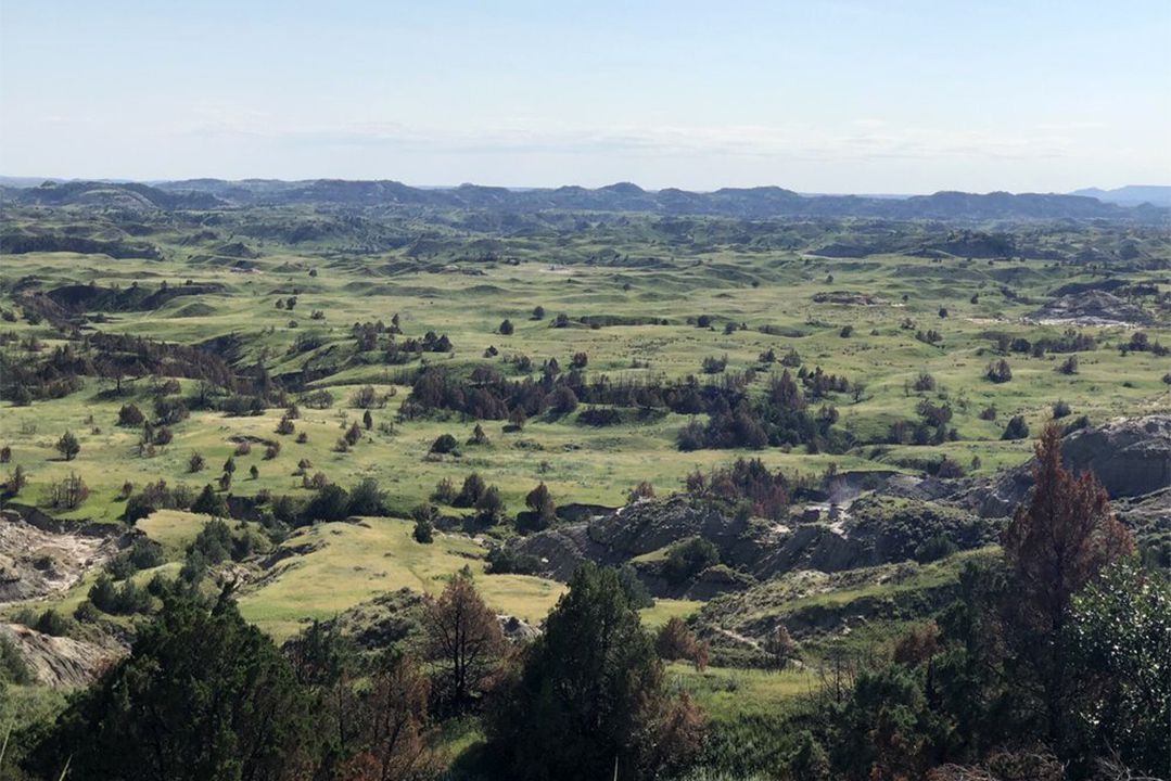Theodore Roosevelt National Park