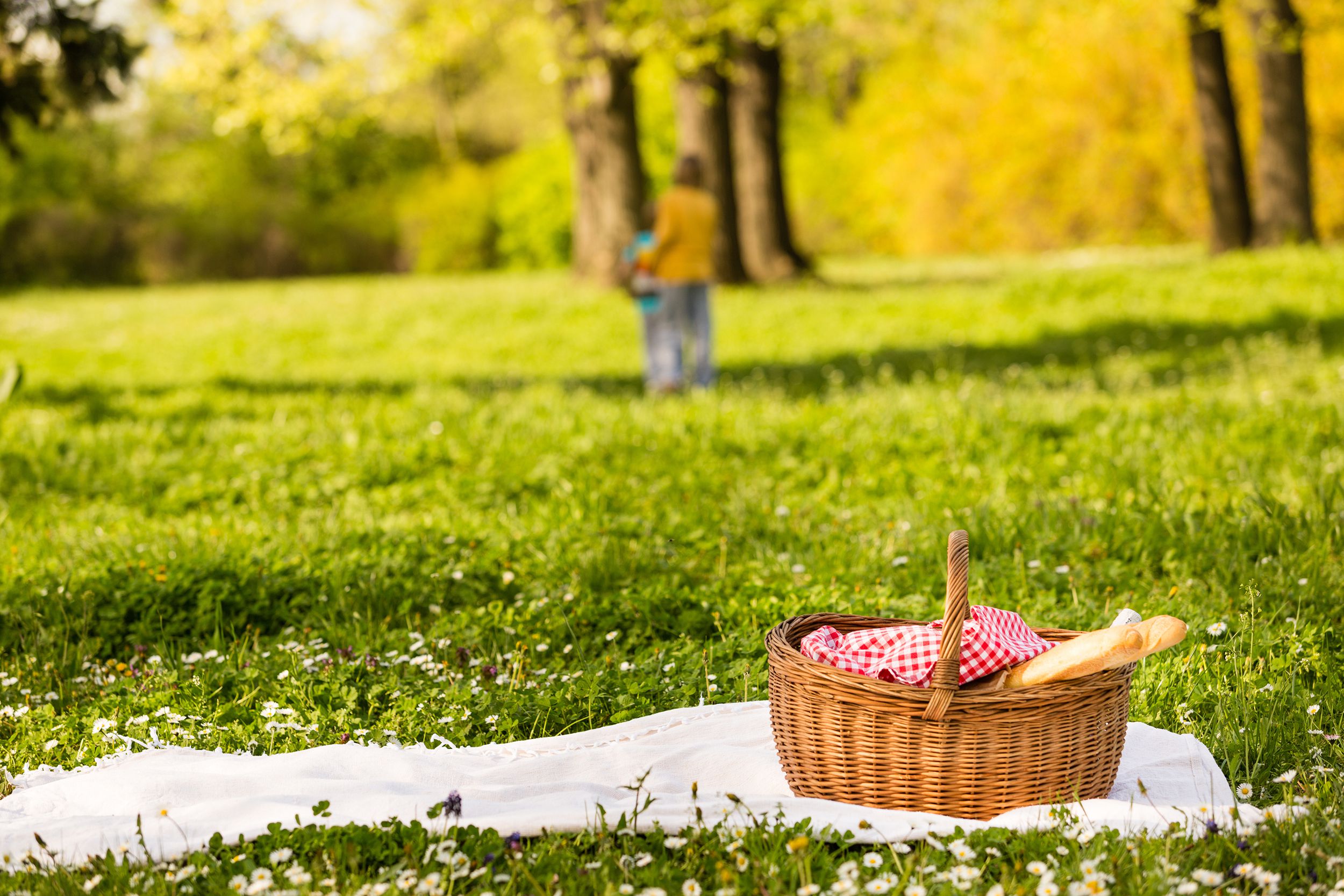 picnic basket on the blanket, children playing in the background