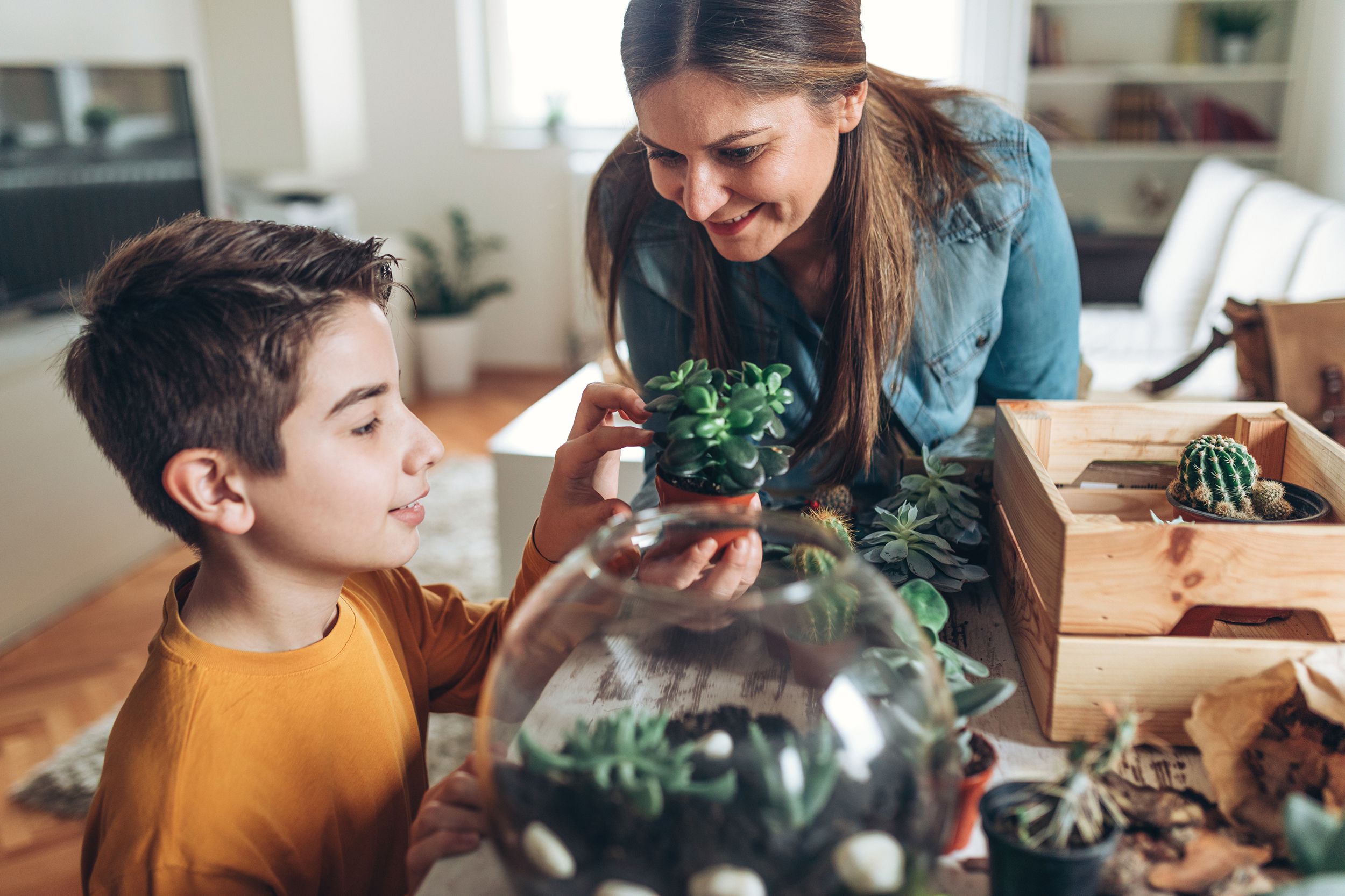 mother and son planting small house plants on the kitchen table