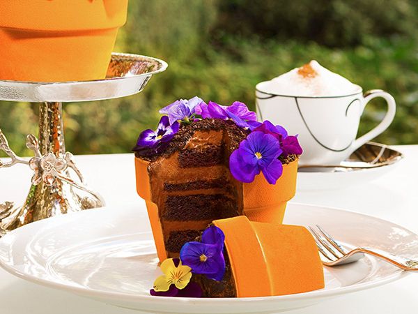 Flower Pot Cake