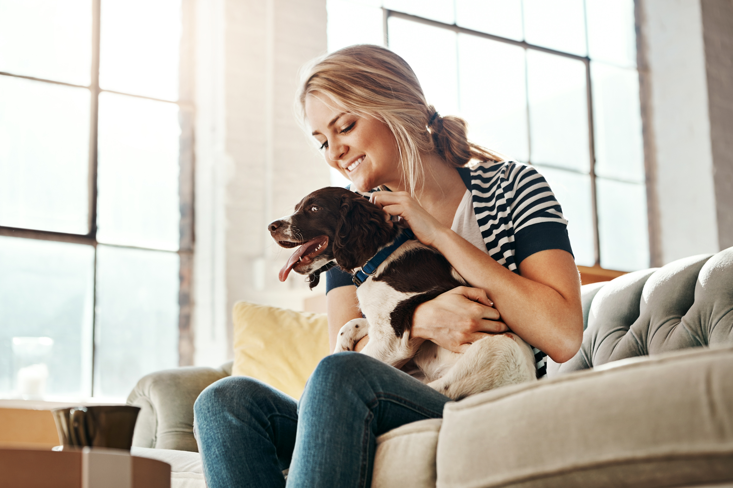 Woman pet sitting a dog