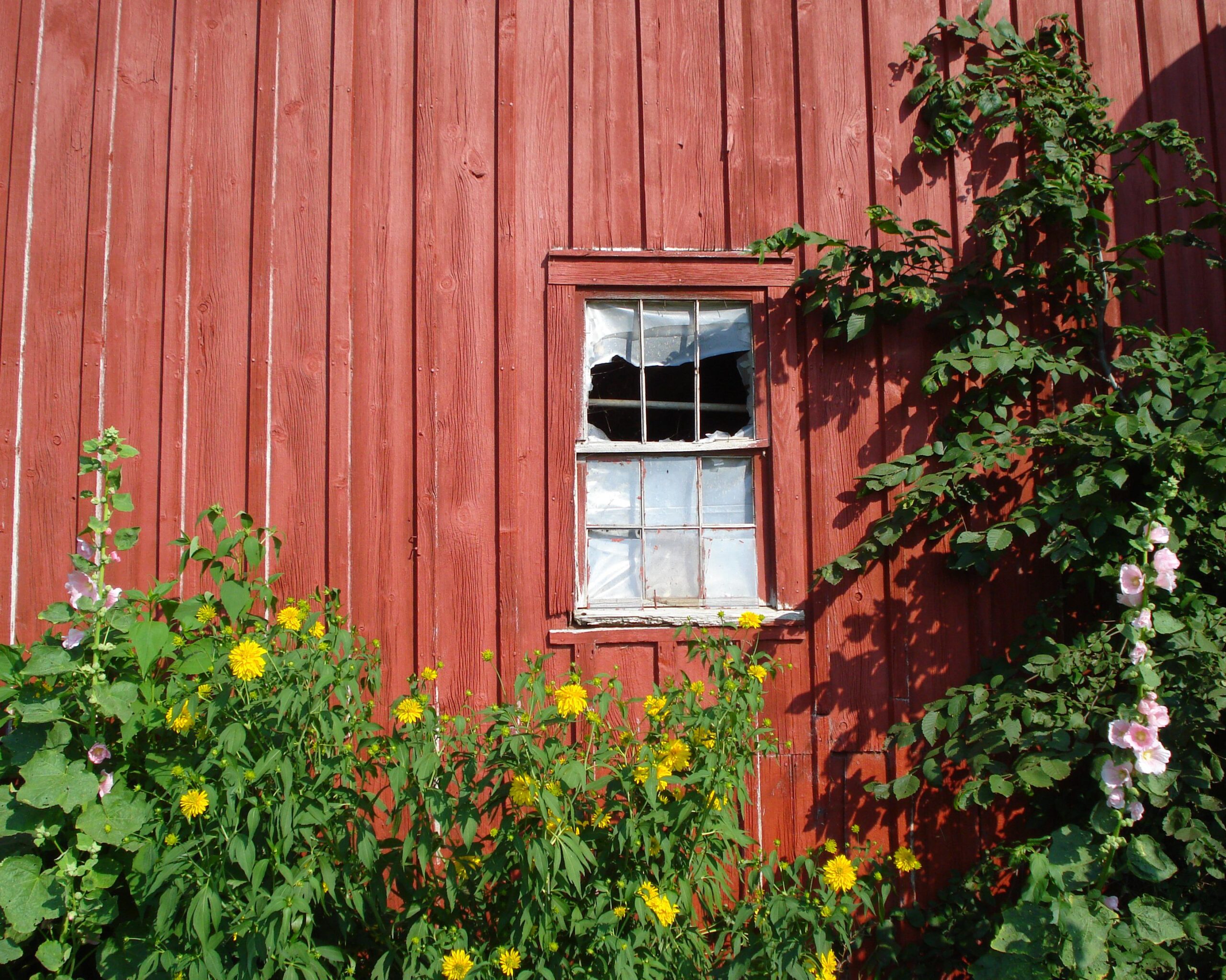 old red house with decaying window