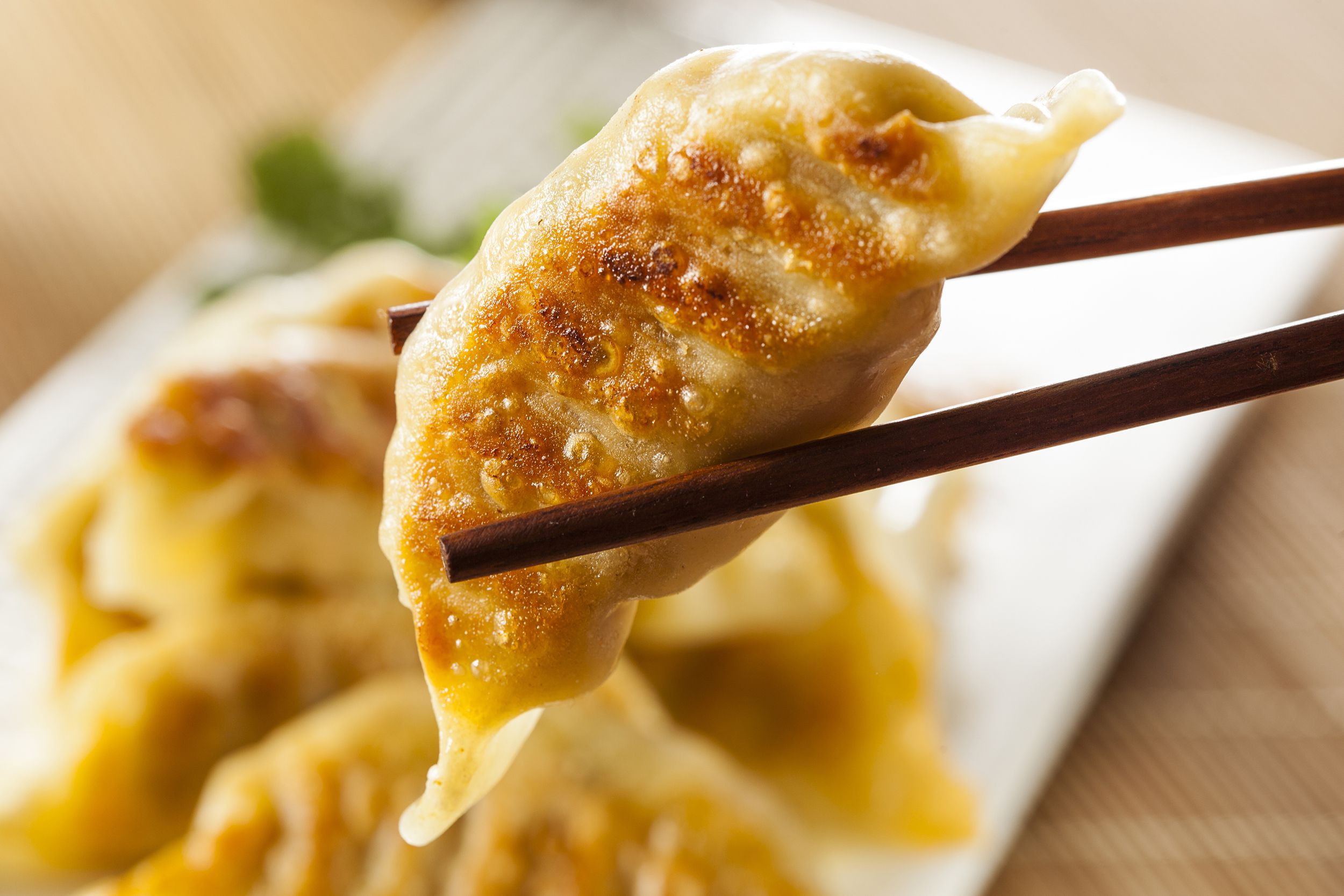 homemade asian vegetarian potstickers