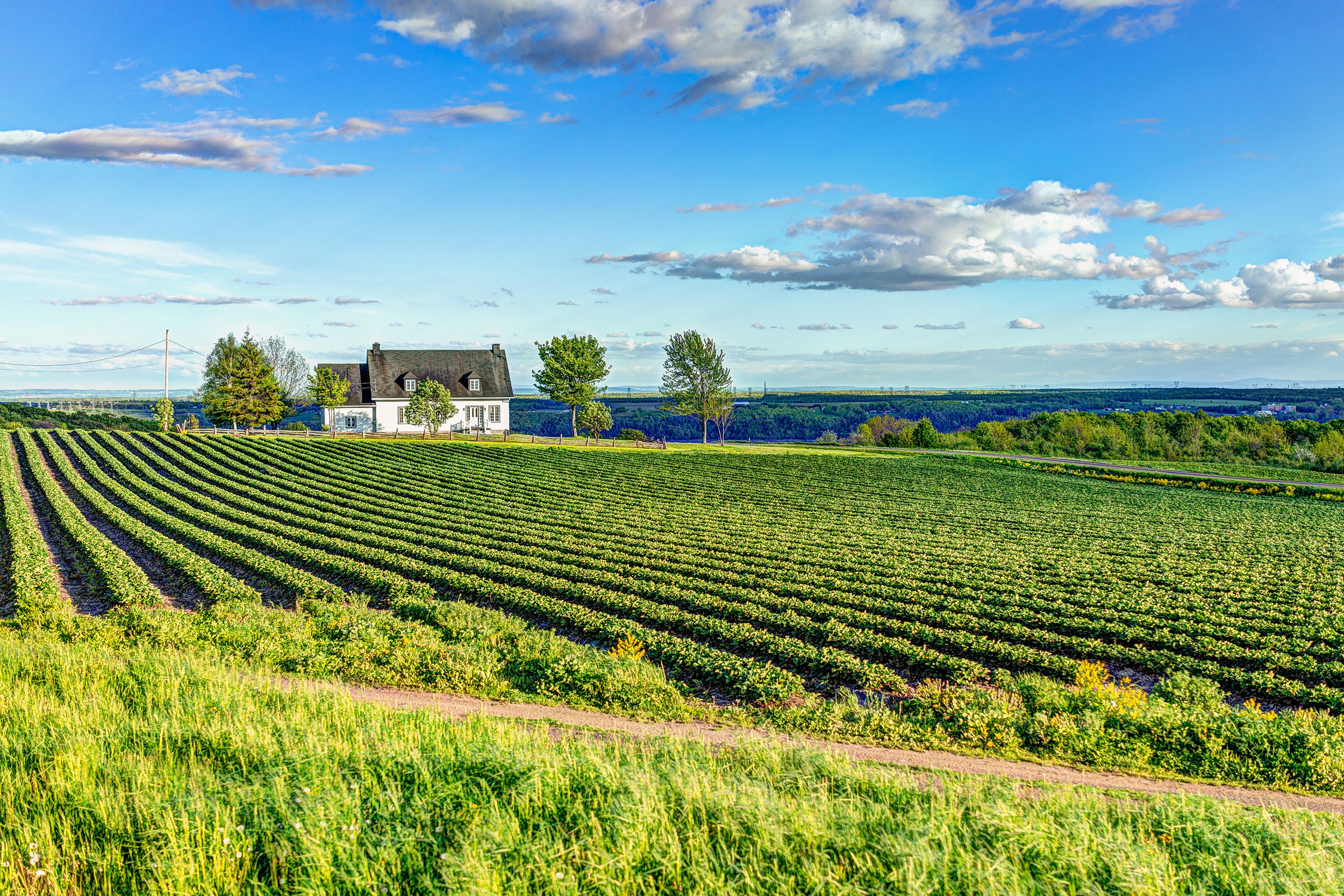 farm and house, Ile D'Orleans, Quebec, Canada