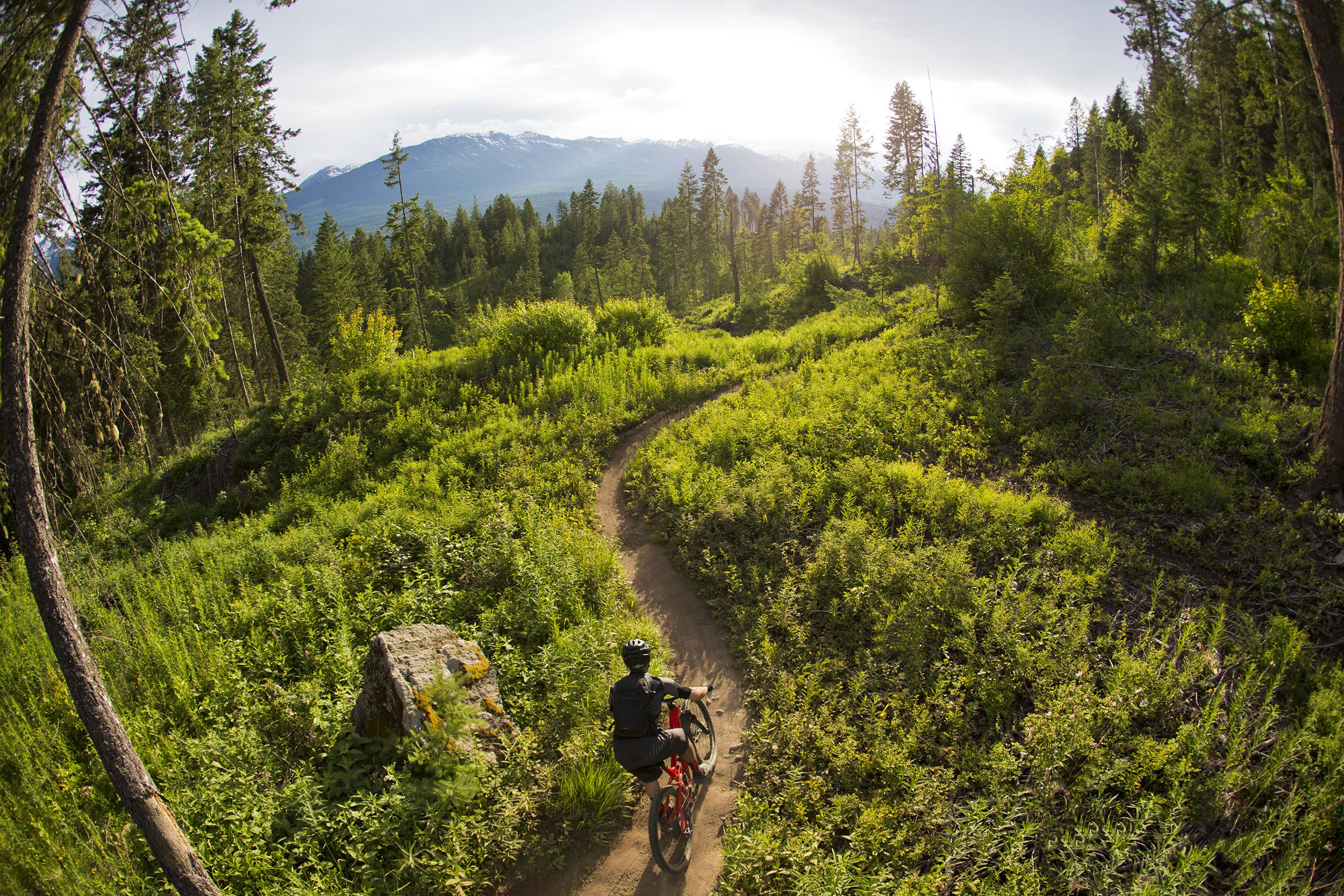 mountain biking in Golden, British Columbia