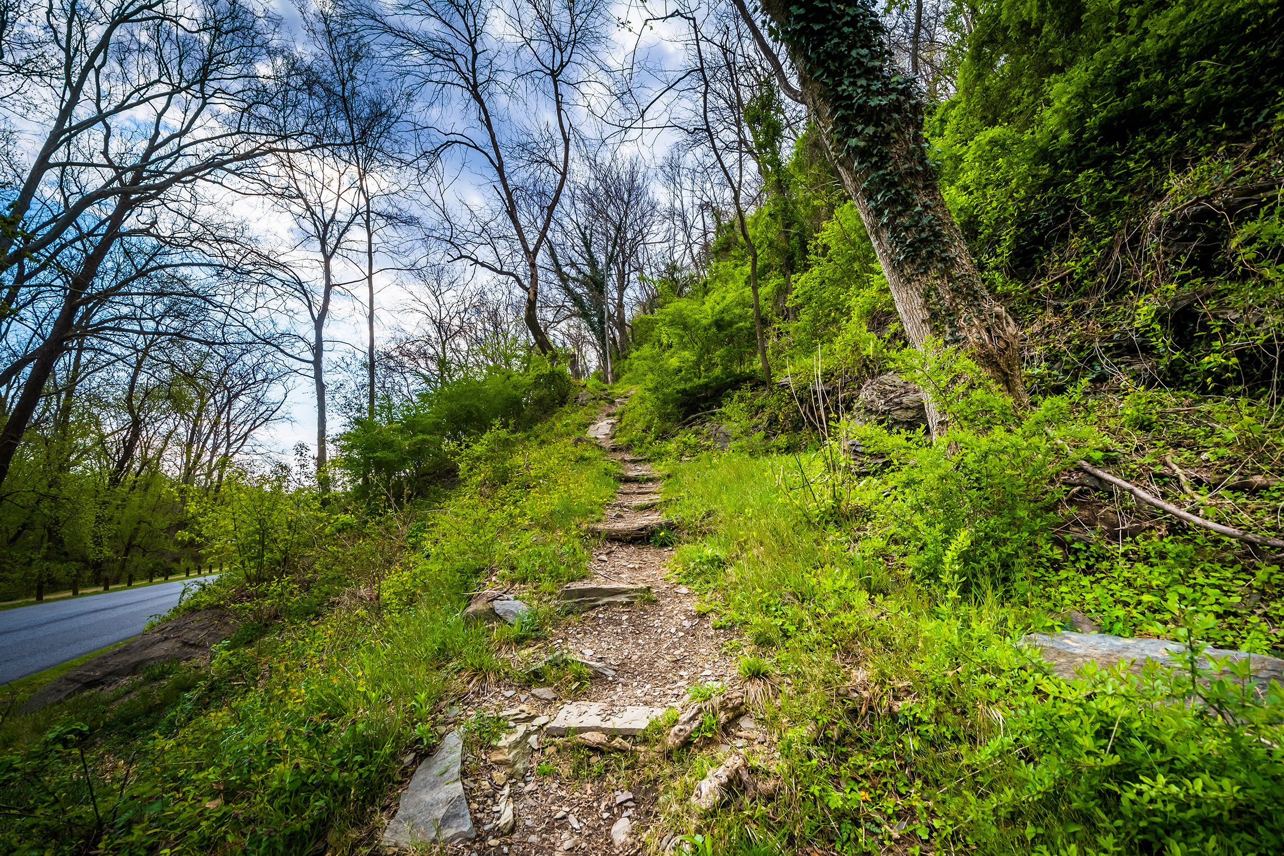 Appalachian Trail
