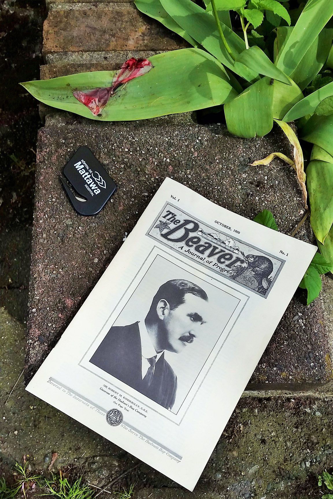 The Beaver Magazine