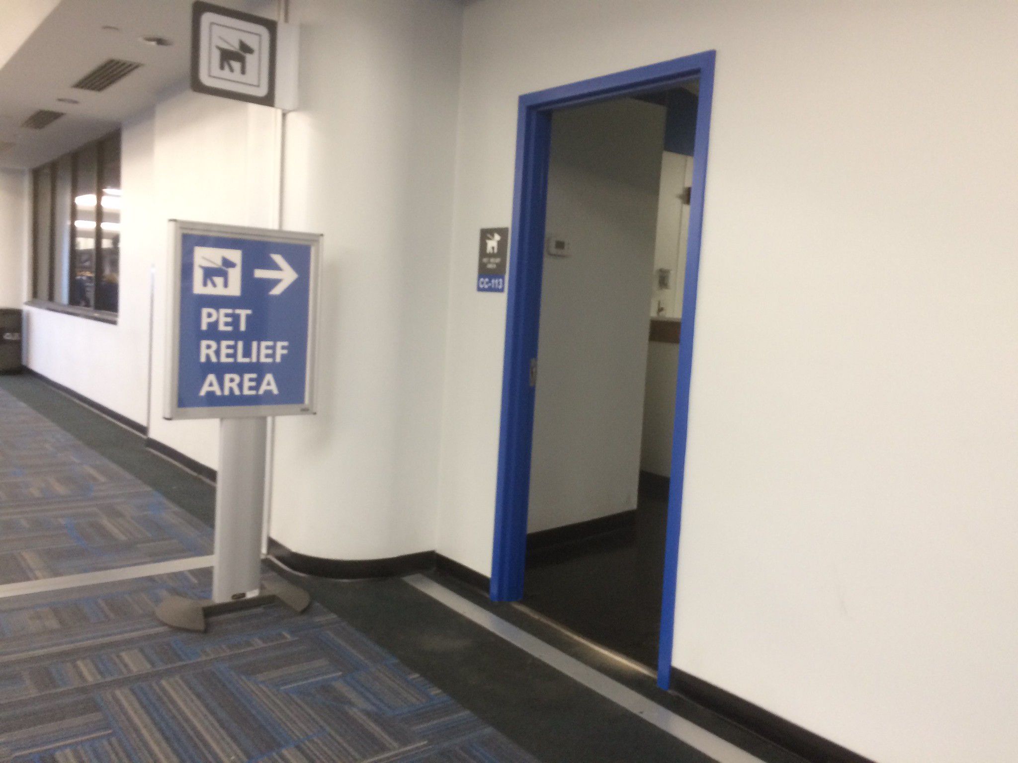pet relief area at airport