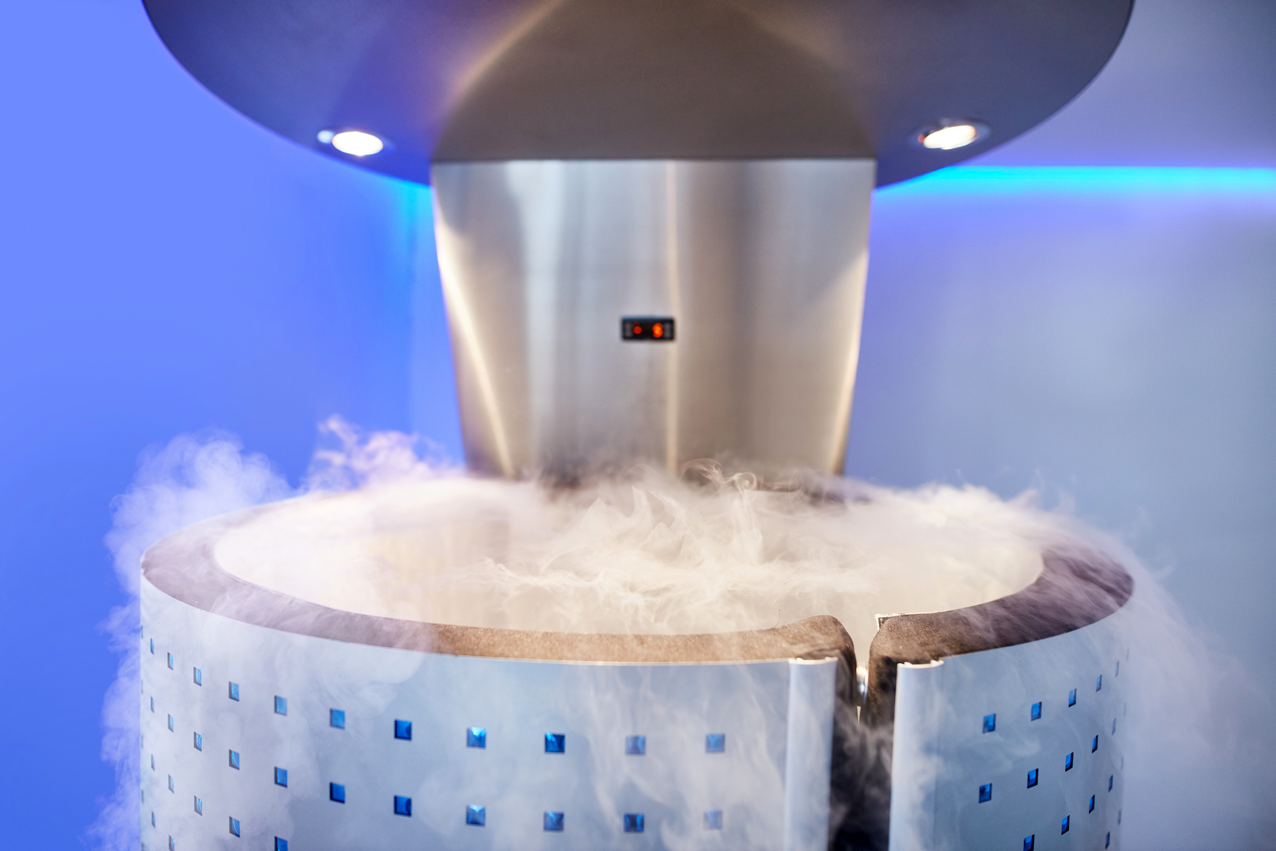 Cryotherapy chamber