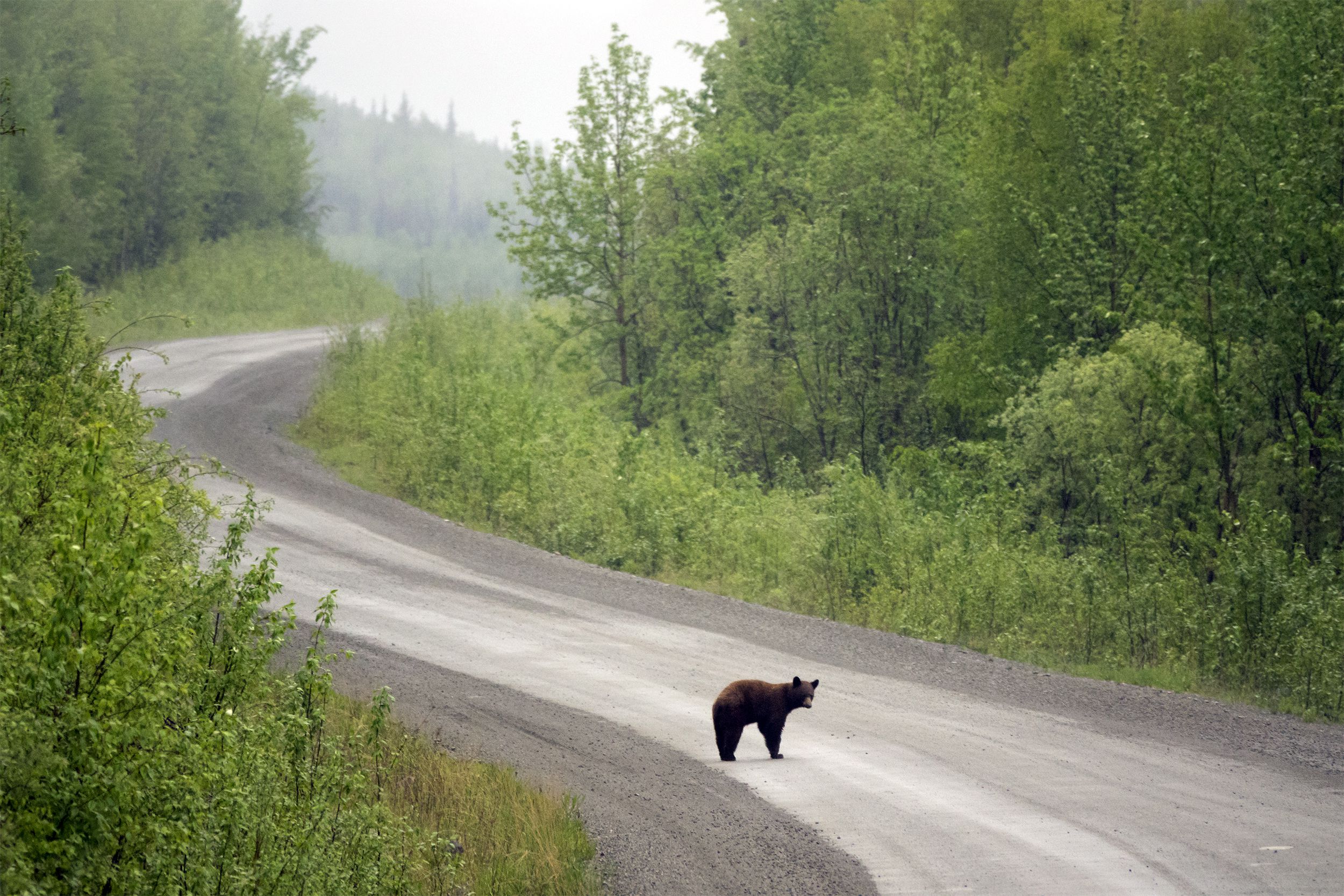 Dempster Highway, Yukon and Northwest Territories