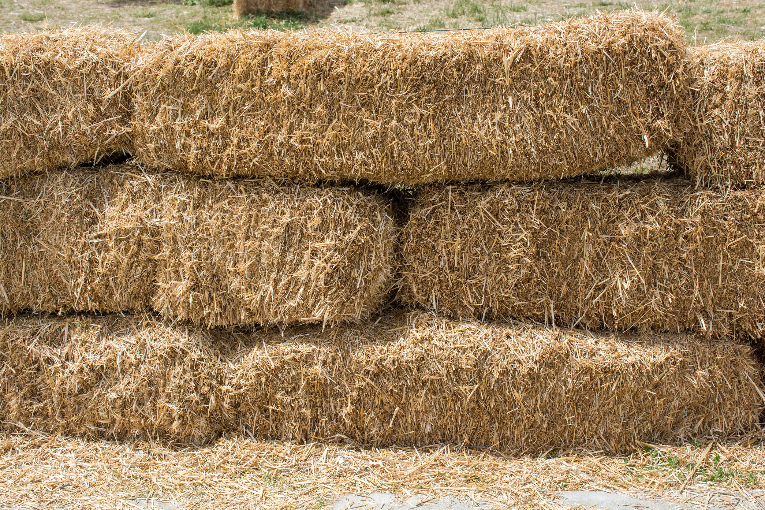 Stacks of hay