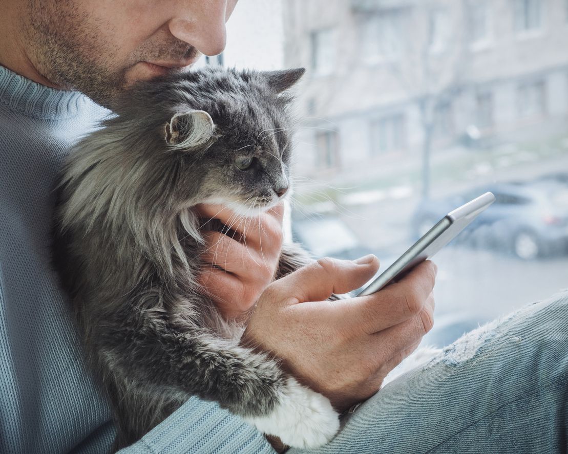 man holding cat and phone