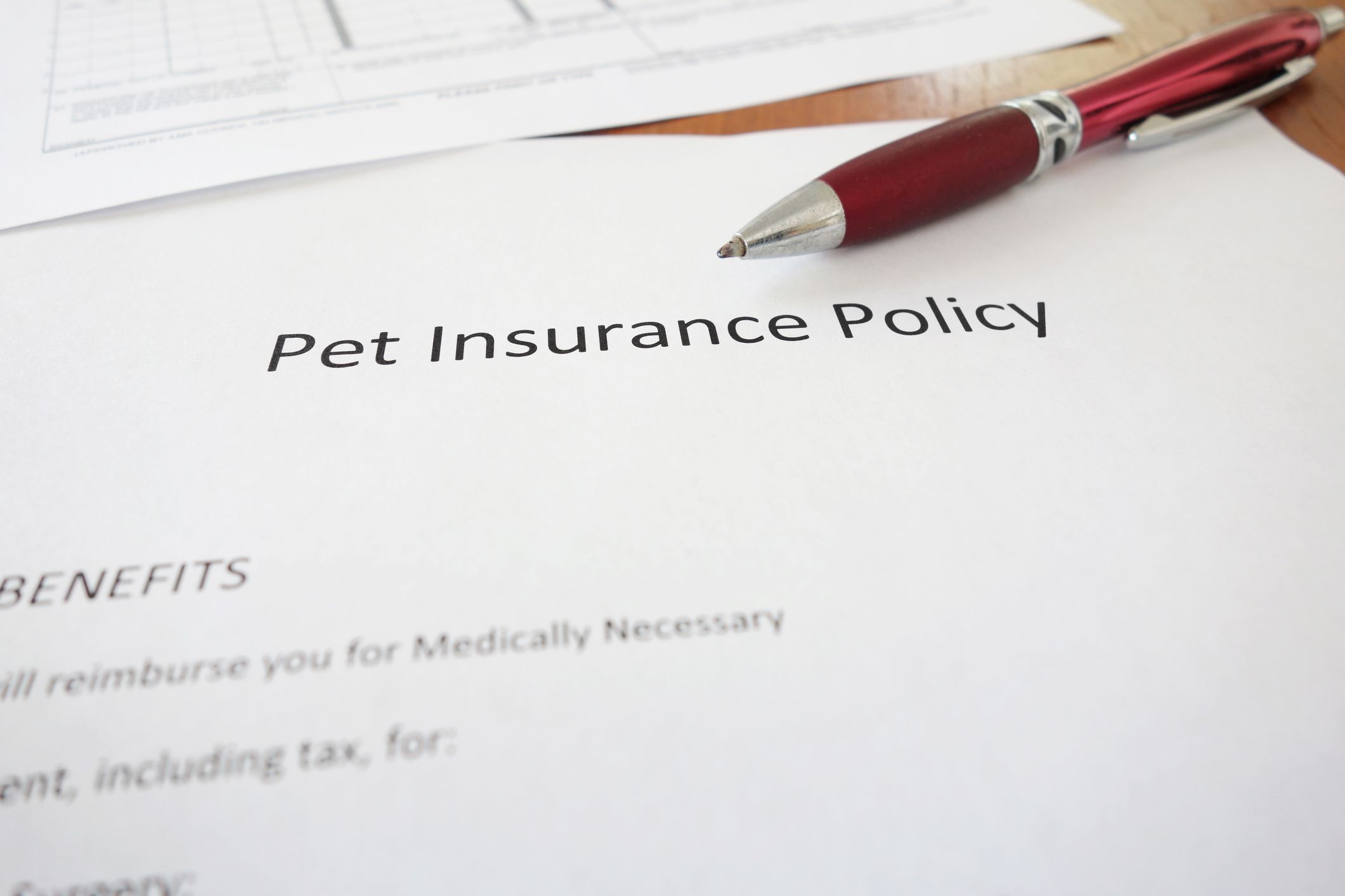 pet insurance policy paper with pen on top