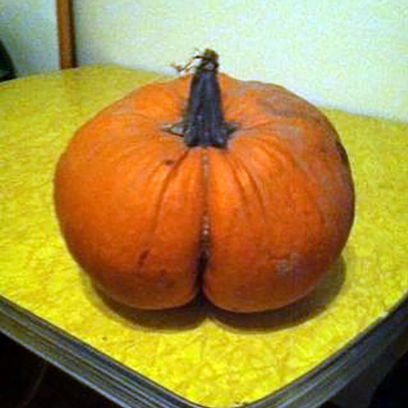 Butt Pumpkin