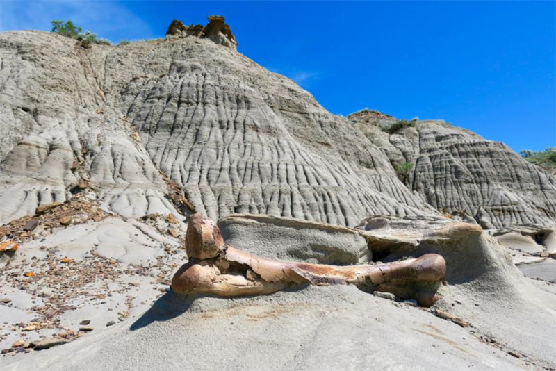 Dinosaur Campground, Dinosaur Provincial Park, Alberta