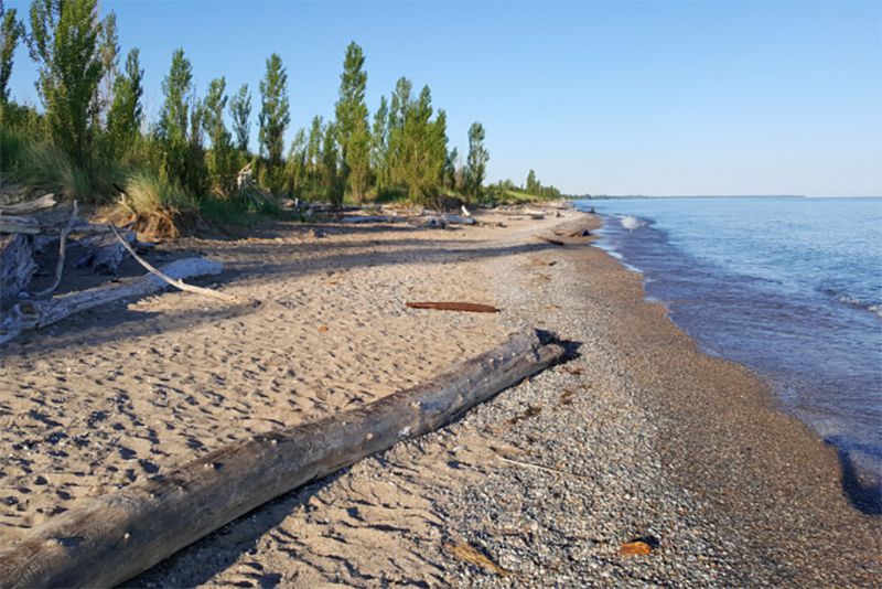 Pinery Provincial Park, Ontario