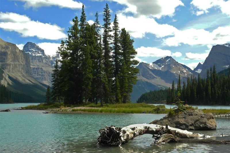 Jasper National Park, Alberta