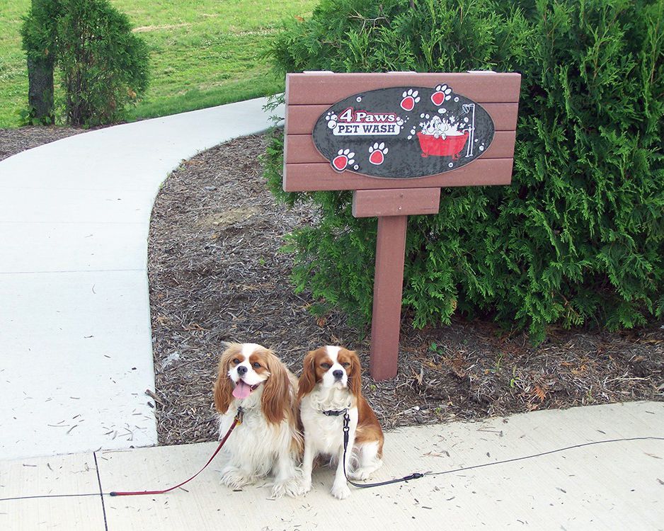 4paws pet wash at evergreen park rv resort