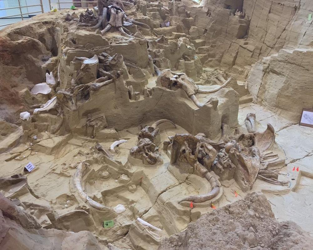 Mammoth Site in Hot Spring, SD