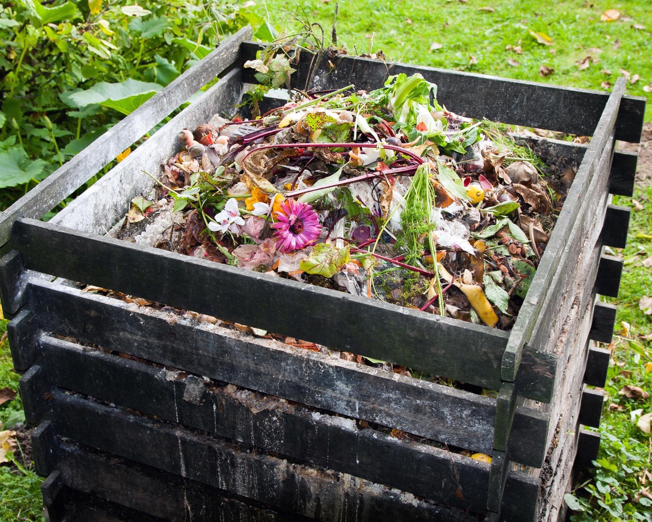 compost bin in the garden