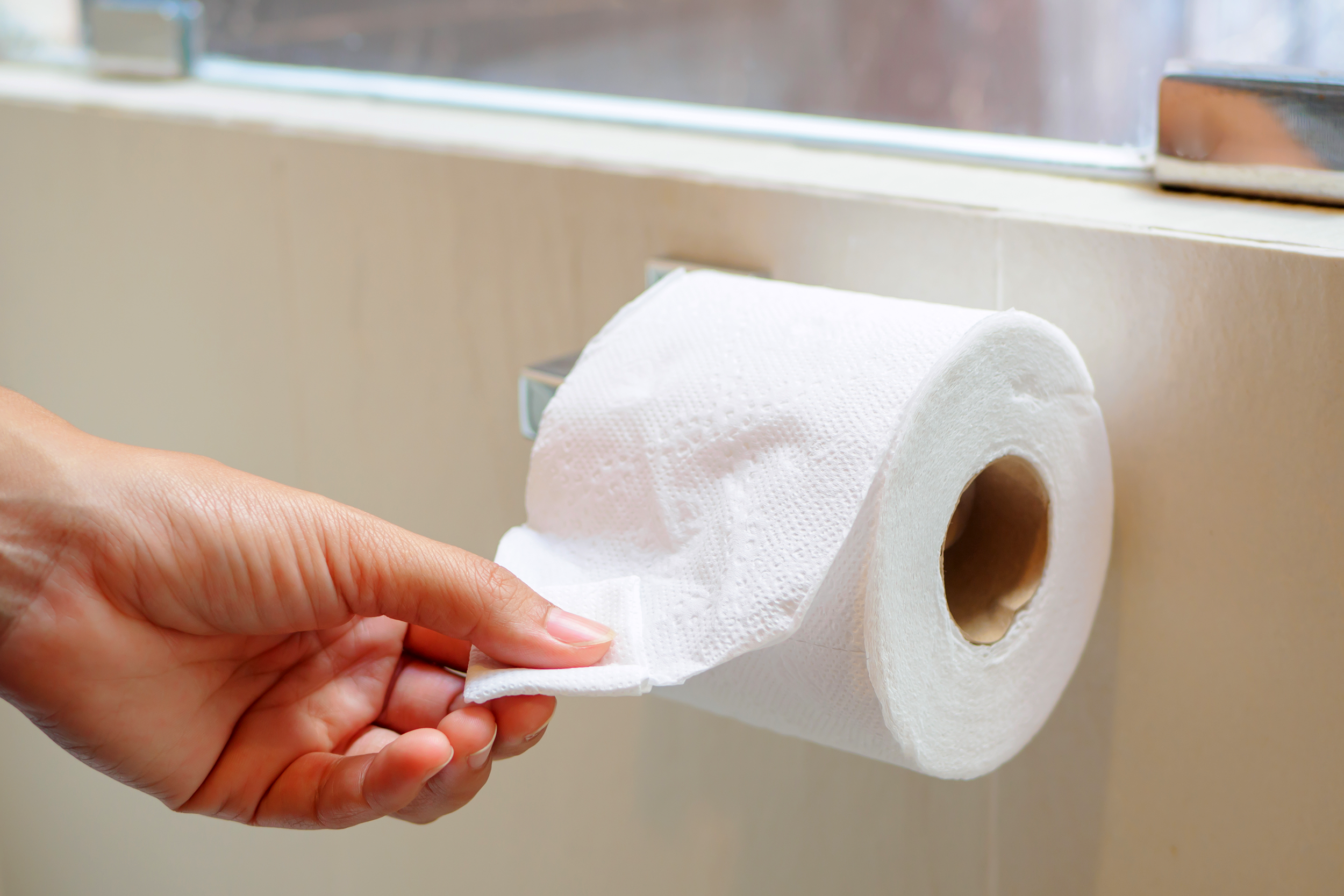 Toilet paper on the roll in a bathroom