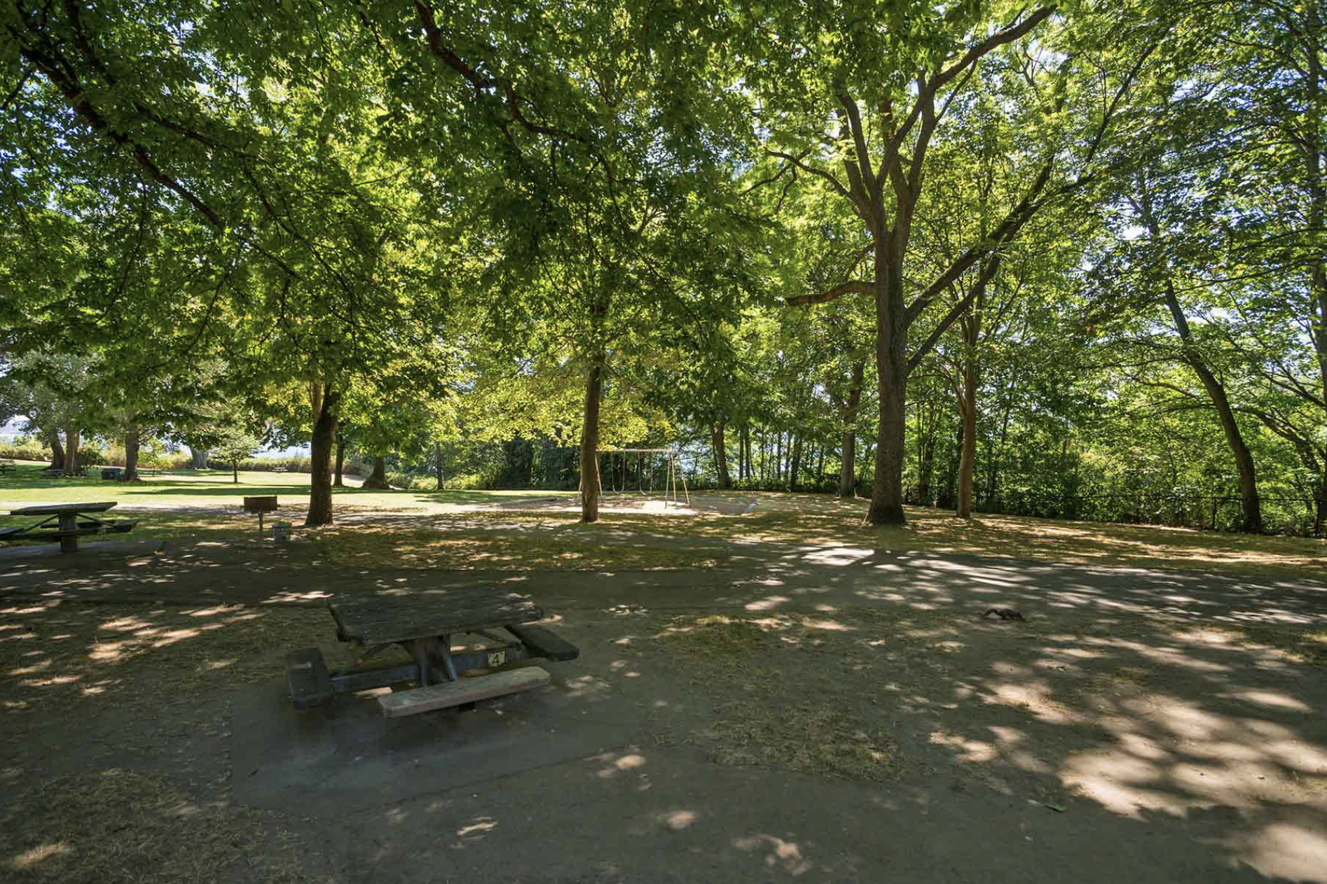 magnolia park