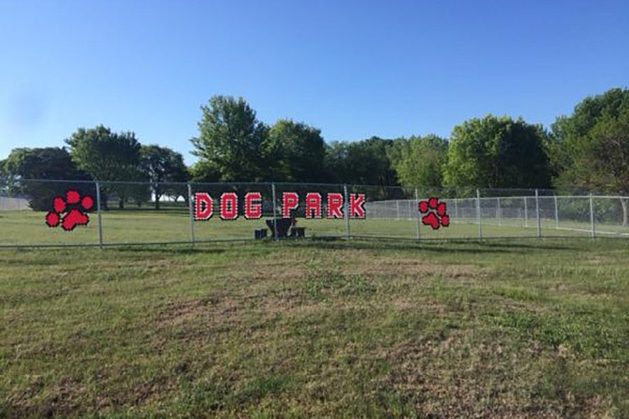 dog park at airport park campground