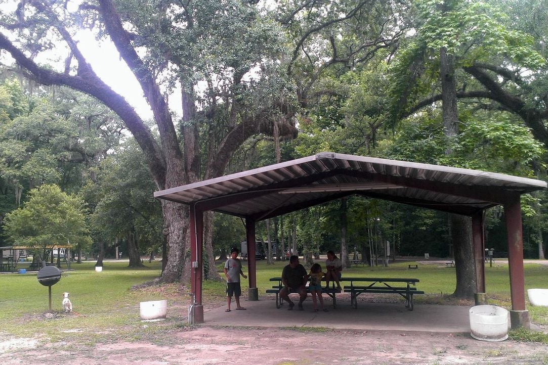 picnic benches and dog at acadians park campground