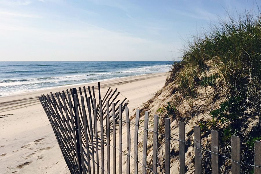 beach, dunes, fence at hither hills state park